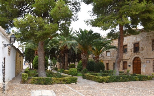 Juan Carlos I Park with pines and palm trees, on the right the convent of the Poor Clare nuns. © Iker