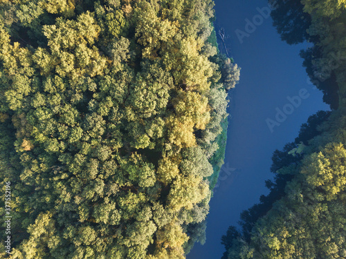 Top view of the river with turns of meanders and green forests in bright sunlight. Creek in the park among the trees. Aerial drone view. Summer or autumn time. Stream surrounded by green forest.