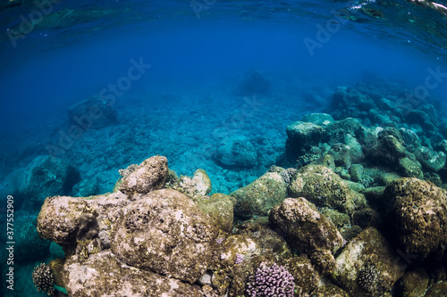 Tranquil underwater scene. Tropical blue ocean © artifirsov