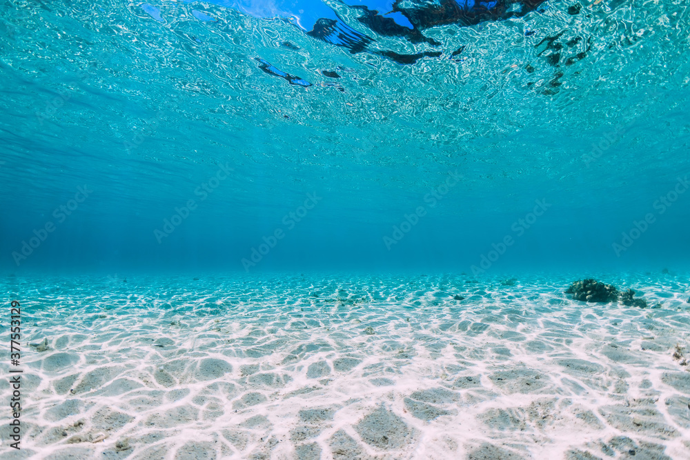 Fototapeta premium Tropical blue ocean with sand underwater