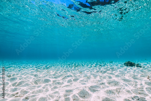 Tropical blue ocean with sand underwater