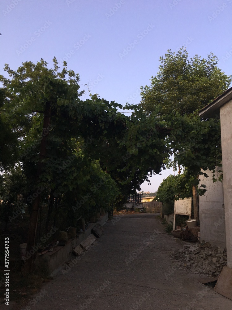 Fototapeta premium street in the village