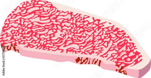 5等級のサーロイン霜降り牛肉のベクター画像