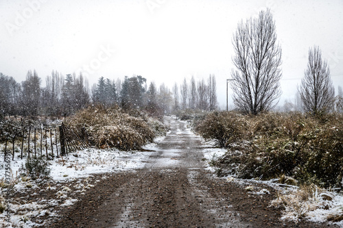 Winter road © Batteristafoto