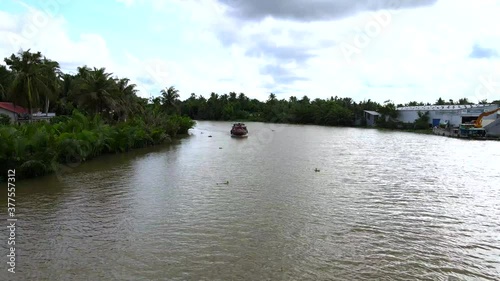 Green coconut fields
