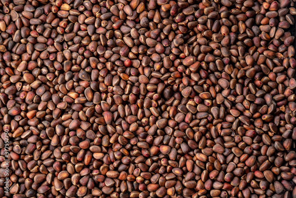 Background of whole pine nuts. Lots of cedar seeds in their shells. Top view Background of whole pine nuts. Lots of cedar seeds in their shells. Top view