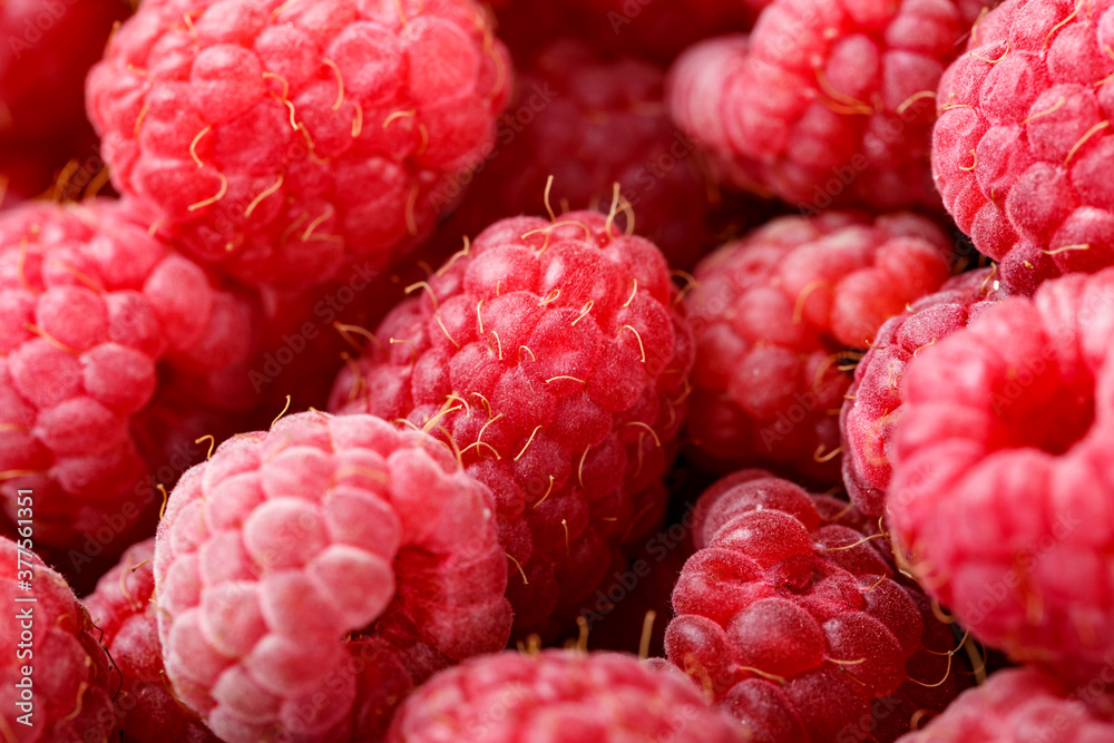 Fresh and sweet raspberries background Fresh and sweet raspberries background