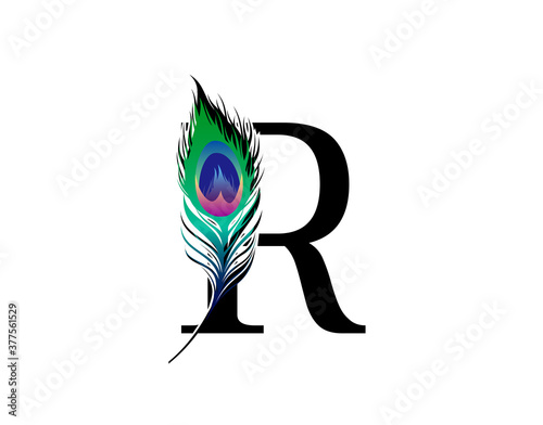 R Letter Decorated With Exotic Peacock Feather.