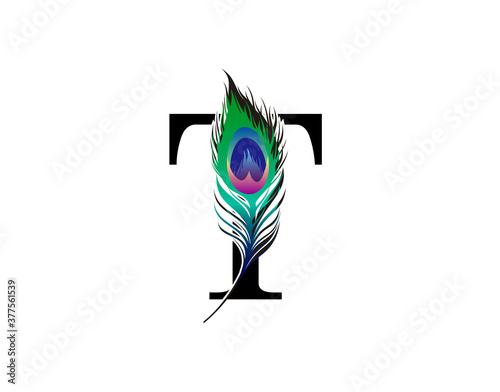 T Letter Decorated With Exotic Peacock Feather.