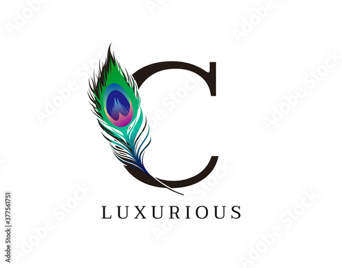 C Letter Decorated With Exotic Peacock Feather.