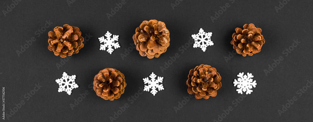 Top view Banner of New Year ornament made of white snowflakes and pine cones on colorful background. Winter holiday concept with empty space for your design Top view Banner of New Year ornament made of white snowflakes and pine cones on colorful background. Winter holiday concept with empty space for your design