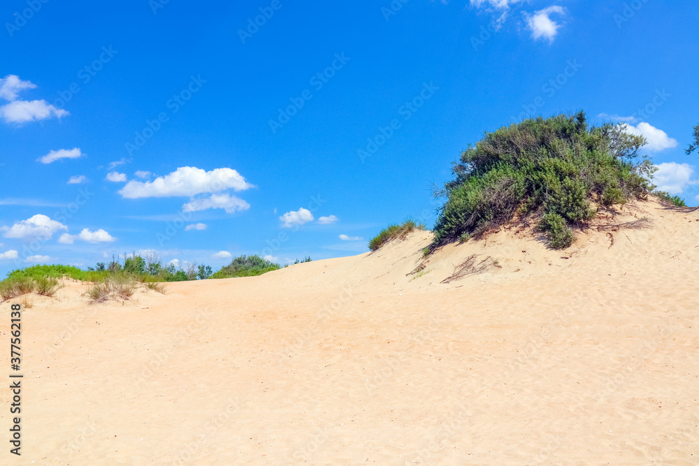 sand dunes covered with greenery against a blue sky