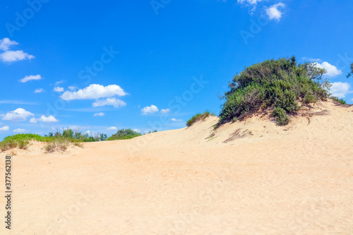 sand dunes covered with greenery against a blue sky