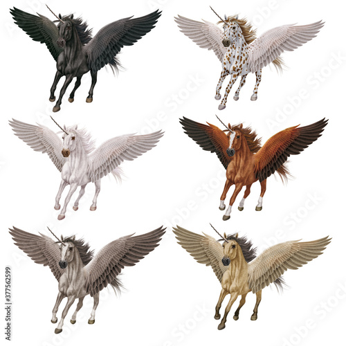 groupe de  cheval  licorne  volant  en vol  ailes    toutes couleurs   animal  blanc    talon  galop  color    mythique  poney  courir  course  collection  photo illustration  sauvage  chevalin   amoure