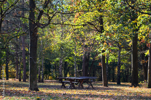 Fototapeta Naklejka Na Ścianę i Meble -  Picnic table in Zvezdara forest park in Belgrade, Serbia, with autumn foliage