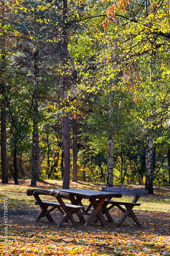 Picnic table in Zvezdara forest park in Belgrade, Serbia, with autumn foliage