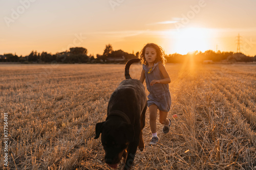 Young girl playing with her dog in the field during sunset © arsemosqueda