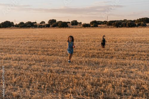 Young girl playing with her dog in the field during sunset © arsemosqueda