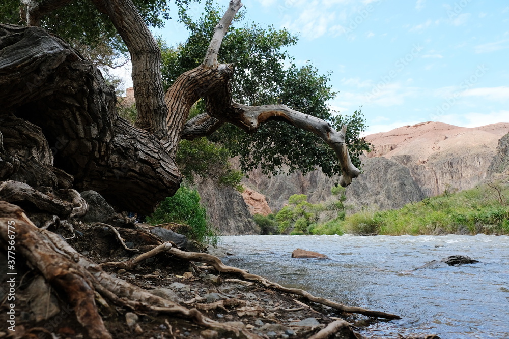 The river flows along a rocky mountain area with vegetation on the shore.