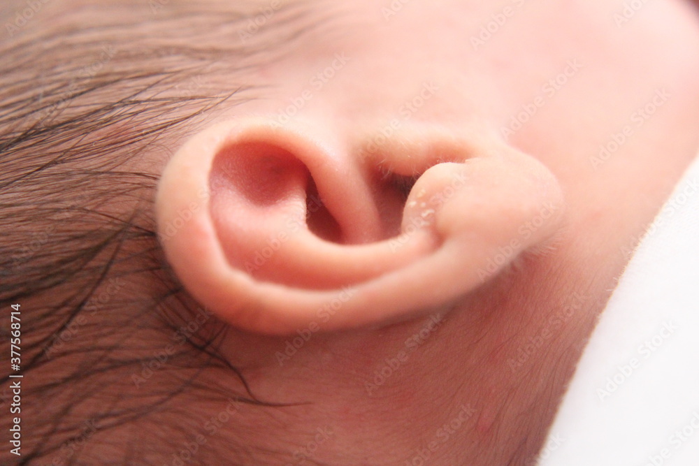 Fototapeta premium Closeup new born infant baby Ear.