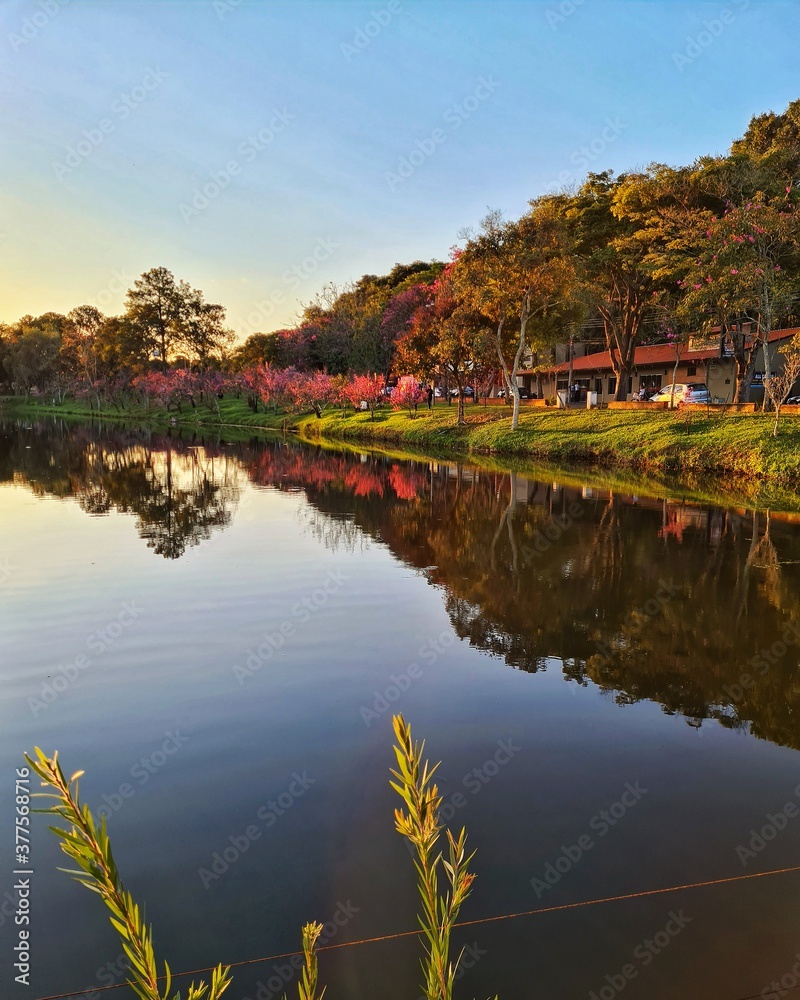 Obraz premium landscape with lake