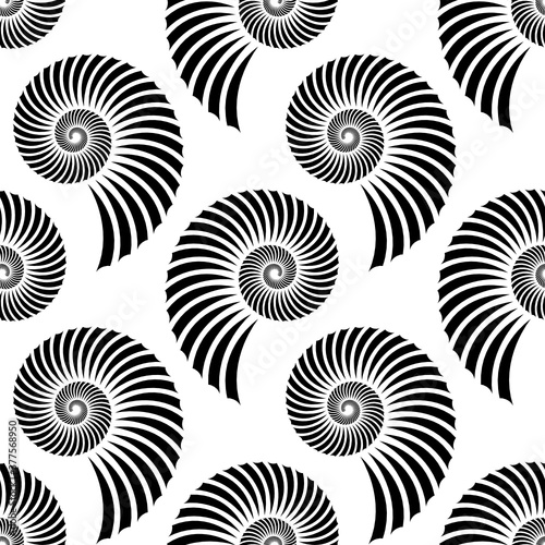 Vector geometric texture. Monochrome repeating pattern with seashells.