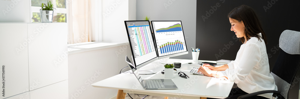 Analyst Working With Spreadsheet Business Data Analyst Working With Spreadsheet Business Data