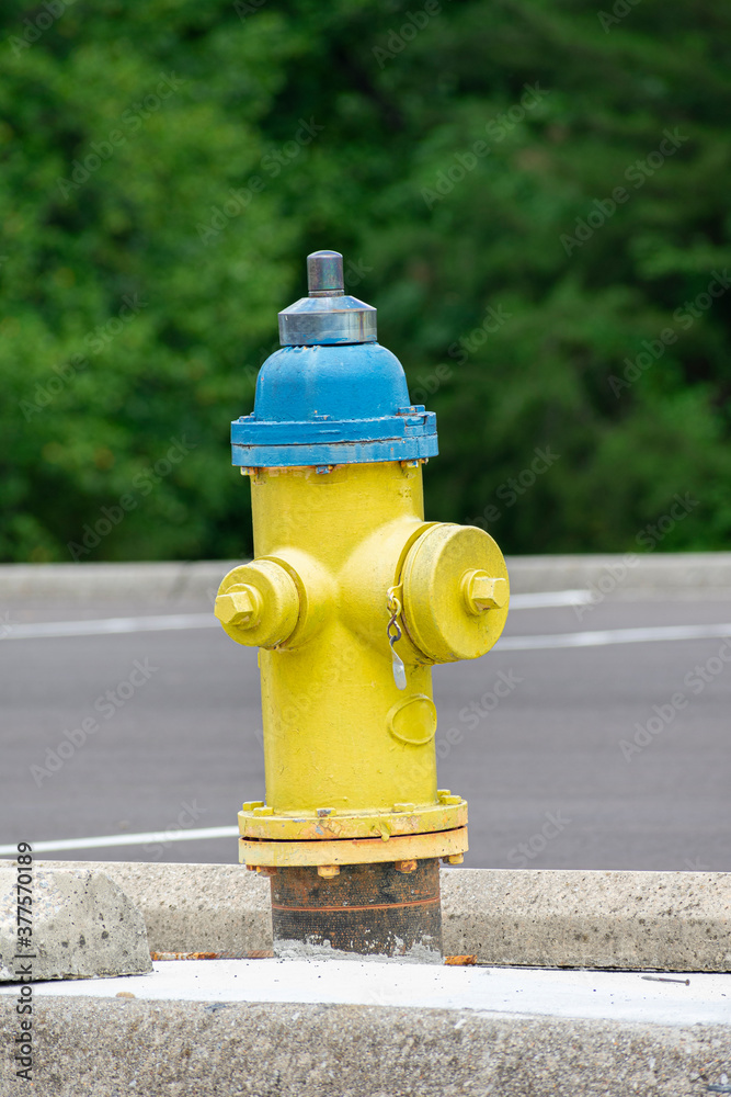 Old Yellow Fire Hydrant With Copy Space Old Yellow Fire Hydrant With Copy Space