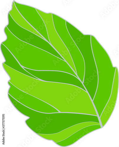 Green leaf. Vector illustration. Ecology vector.