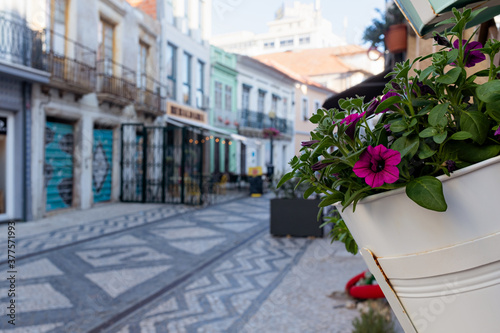 Streets of aveiro, POrtugal