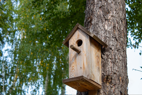 A birdhouse for forest birds on a conifer.