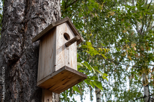 A birdhouse for forest birds on a conifer.