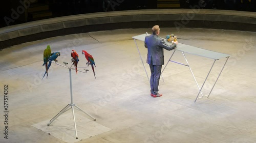 Performance of a perrot trainer in a circus photo