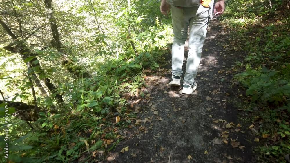 A man goes Hiking in a wooded and hilly area. Rear view. A man goes Hiking in a wooded and hilly area. Rear view.