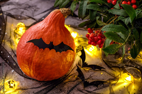 Hallowen home decoration with pumkin rowan bat. Autumn composition with colorful background
