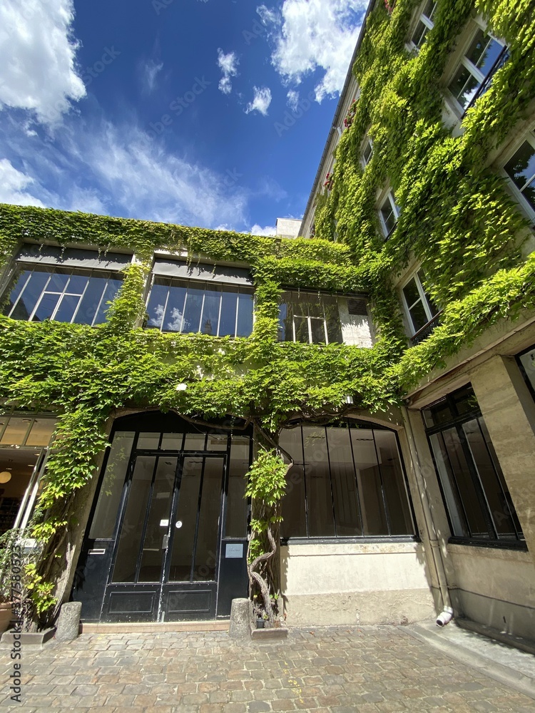 Cour intérieure d'un immeuble végétalisé à Paris