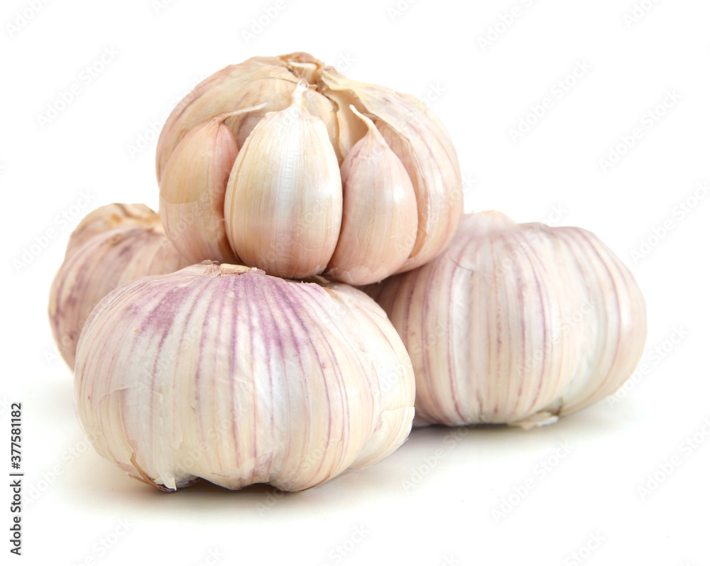Obraz premium Garlic on white background