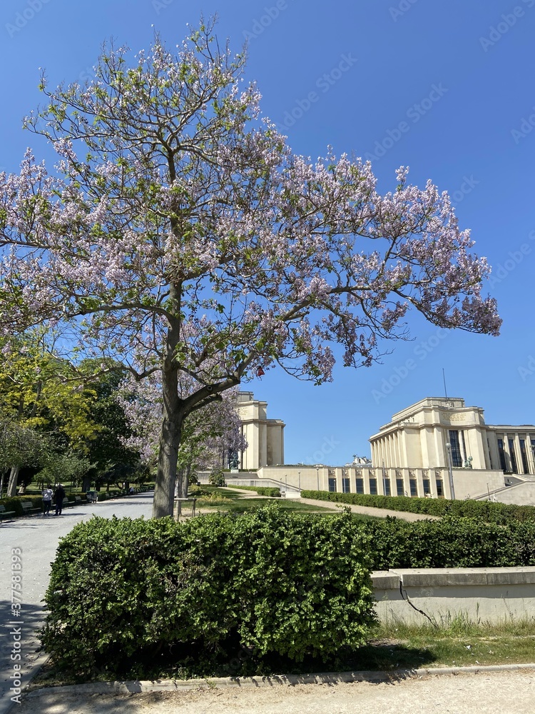Jardin du Trocadéro à Paris