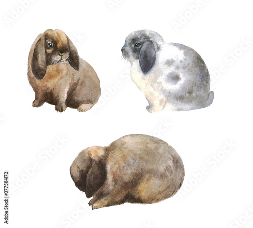 Watercolor cute bunnies. Cute fluffy rabbit. Easter illustration for print. Cute postcard 
