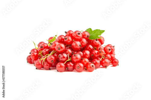 Red currant berries heap isolated on white background