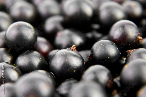 Berries background - black currant closeup
