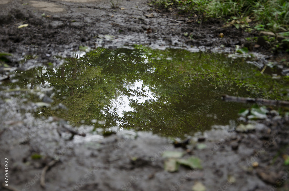 After rain reflection on puddle. Tree and sky in puddle reflection. selective focus After rain reflection on puddle. Tree and sky in puddle reflection. selective focus