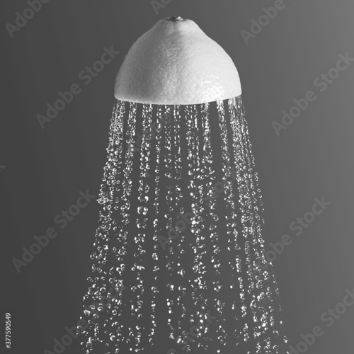 still life fruit lemon whith water