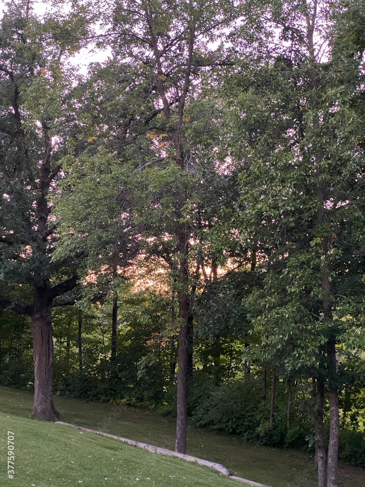 Naklejka premium Scenic Minnesota Landscape in the Summer Time