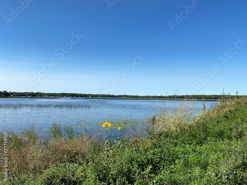 Scenic Minnesota Landscape in the Summer Time