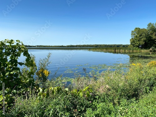 Fototapeta Naklejka Na Ścianę i Meble -  Scenic Minnesota Landscape in the Summer Time