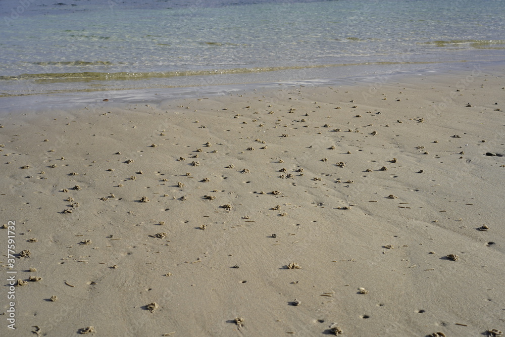 Sandstrand an der Ostsee mit Spuren von Wattwürmern Sandstrand an der Ostsee mit Spuren von Wattwürmern