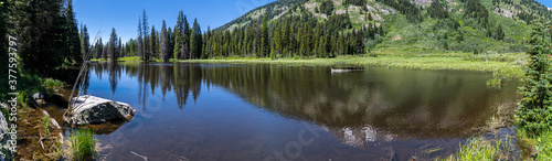 Moose Pond, Teton National Park