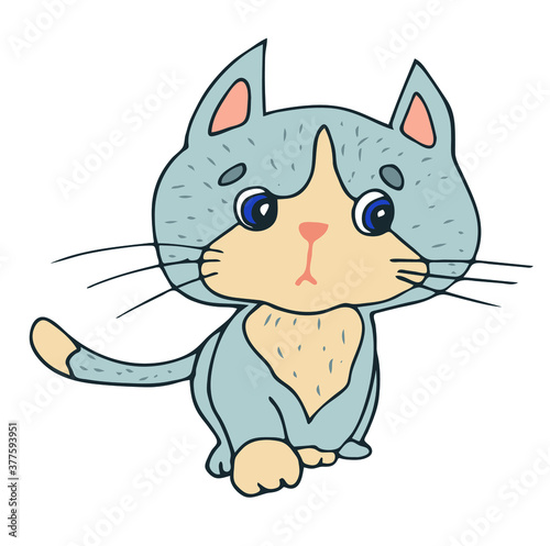 clipart with a cute scared kitten. Hand-drawn drawing  colored  gray  isolated on a white background.
