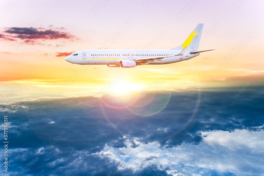 Fototapeta premium Airplane in the sky - Passenger Airliner